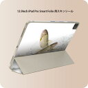 iPad Smart Folio 用 12.9インチ iPad Pro（第4世代、第5世代、第6世代）対応 apple アップル アイパッド　全面スキンシール フル 前面　背面 保護シール 人気 007741 魚　さかな　水　みず