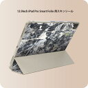 iPad Smart Folio 用 12.9インチ iPad Pro(第4世代、第5世代、第6世代)対応 apple アップル アイパッド 全面スキンシール フル 前面 背面 保護シール 人気 008415 インク ペンキ 写真 白 ホワイト(2)