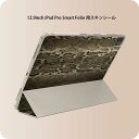 iPad Smart Folio 用 12.9インチ iPad Pro(第4世代、第5世代、第6世代)対応 apple アップル アイパッド 全面スキンシール フル 前面 背面 保護シール 人気 008843 ヘビ 模様 写真(2)