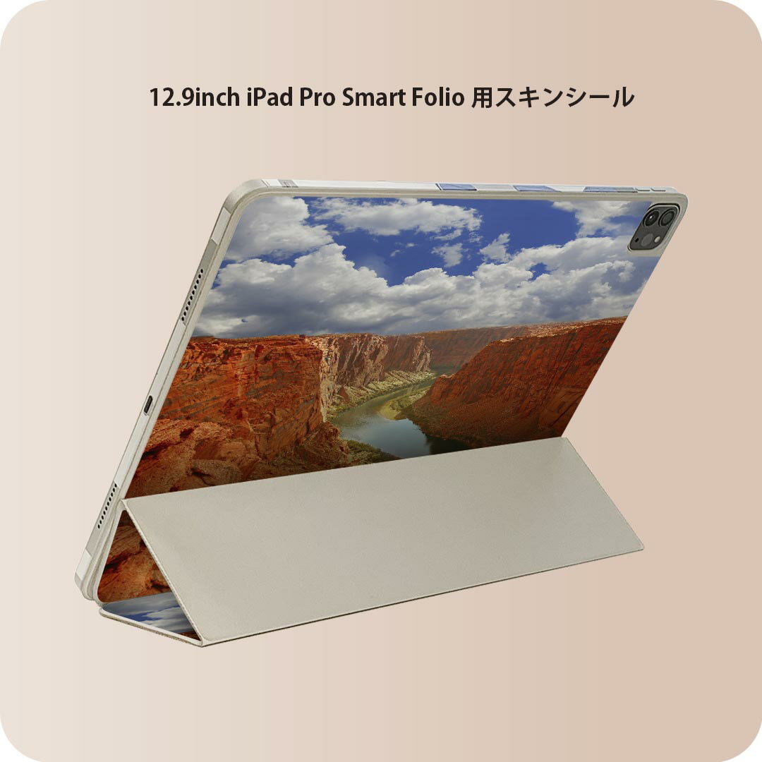 iPad Smart Folio 用 12.9インチ iPad Pro（第4世代、第5世代、第6世代）対応 apple アップル アイパッド　全面スキンシール フル 前面　背面 保護シール 人気 008849 写真　谷　川
