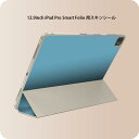 iPad Smart Folio 用 12.9インチ iPad Pro(第4世代、第5世代、第6世代)対応 apple アップル アイパッド 全面スキンシール フル 前面 背面 保護シール 人気 008978 シンプル 無地 青(2)