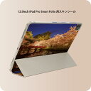iPad Smart Folio 用 12.9インチ iPad Pro(第4世代、第5世代、第6世代)対応 apple アップル アイパッド 全面スキンシール フル 前面 背面 保護シール 人気 009515 桜 写真