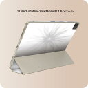 iPad Smart Folio 用 12.9インチ iPad Pro（第4世代、第5世代、第6世代）対応 apple アップル アイパッド　全面スキンシール フル 前面　背面 保護シール 人気 009583 　シンプル　グレー