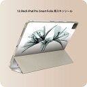 iPad Smart Folio 用 12.9インチ iPad Pro(第4世代、第5世代、第6世代)対応 apple アップル アイパッド 全面スキンシール フル 前面 背面 保護シール 人気 009894 シック シンプル(2)