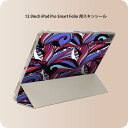 iPad Smart Folio 用 12.9インチ iPad Pro(第4世代、第5世代、第6世代)対応 apple アップル アイパッド 全面スキンシール フル 前面 背面 保護シール 人気 010617 アート 模様 カラフル