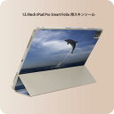 iPad Smart Folio 用 12.9インチ iPad Pro(第4世代、第5世代、第6世代)対応 apple アップル アイパッド 全面スキンシール フル 前面 背面 保護シール 人気 010965 海 イルカ 写真