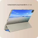 iPad Smart Folio 用 12.9インチ iPad Pro(第4世代、第5世代、第6世代)対応 apple アップル アイパッド 全面スキンシール フル 前面 背面 保護シール 人気 011362 海 ビーチ 夏