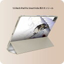 iPad Smart Folio 用 12.9インチ iPad Pro(第4世代、第5世代、第6世代)対応 apple アップル アイパッド 全面スキンシール フル 前面 背面 保護シール 人気 011546 人物 着物 和風