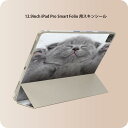 iPad Smart Folio 用 12.9インチ iPad Pro(第4世代、第5世代、第6世代)対応 apple アップル アイパッド 全面スキンシール フル 前面 背面 保護シール 人気 011682 猫 動物 写真
