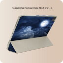 iPad Smart Folio 用 12.9インチ iPad Pro(第4世代、第5世代、第6世代)対応 apple アップル アイパッド 全面スキンシール フル 前面 背面 保護シール 人気 011707 月 空 夜