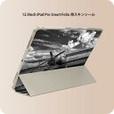 iPad Smart Folio 用 12.9インチ iPad Pro(第4世代、第5世代、第6世代)対応 apple アップル アイパッド 全面スキンシール フル 前面 背面 保護シール 人気 011903 飛行機 モノトーン 空