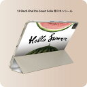 iPad Smart Folio 用 12.9インチ iPad Pro(第4世代、第5世代、第6世代)対応 apple アップル アイパッド 全面スキンシール フル 前面 背面 保護シール 人気 012062 英語 スイカ 果物