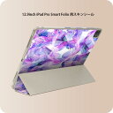 iPad Smart Folio 用 12.9インチ iPad Pro(第4世代、第5世代、第6世代)対応 apple アップル アイパッド 全面スキンシール フル 前面 背面 保護シール 人気 012529 紫 ピンク 水彩