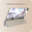 iPad Smart Folio 用 12.9インチ iPad Pro(第4世代、第5世代、第6世代)対応 apple アップル アイパッド 全面スキンシール フル 前面 背面 保護シール 人気 012579 三角 南国 水色