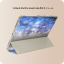 iPad Smart Folio 用 12.9インチ iPad Pro(第4世代、第5世代、第6世代)対応 apple アップル アイパッド 全面スキンシール フル 前面 背面 保護シール 人気 012836 ツリー 木 雪