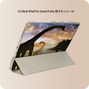 iPad Smart Folio 用 12.9インチ iPad Pro（第4世代、第5世代、第6世代）対応 apple アップル アイパッド　全面スキンシール フル 前面　背面 保護シール 人気 013281 恐竜　シルエット　夕日