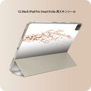 iPad Smart Folio 用 12.9インチ iPad Pro(第4世代、第5世代、第6世代)対応 apple アップル アイパッド 全面スキンシール フル 前面 背面 保護シール 人気 013283 桜 花 春