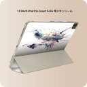 iPad Smart Folio 用 12.9インチ iPad Pro（第4世代、第5世代、第6世代）対応 apple アップル アイパッド　全面スキンシール フル 前面　背面 保護シール 人気 013620 飛行機　水彩　気球