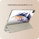iPad Smart Folio 用 12.9インチ iPad Pro(第4世代、第5世代、第6世代)対応 apple アップル アイパッド 全面スキンシール フル 前面 背面 保護シール 人気 014179 傘 風景 イラスト
