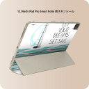 iPad Smart Folio 用 12.9インチ iPad Pro(第4世代、第5世代、第6世代)対応 apple アップル アイパッド 全面スキンシール フル 前面 背面 保護シール 人気 014200 海 船 英語