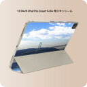 iPad Smart Folio 用 12.9インチ iPad Pro(第4世代、第5世代、第6世代)対応 apple アップル アイパッド 全面スキンシール フル 前面 背面 保護シール 人気 014662 海 橋 空