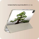 iPad Smart Folio 用 12.9インチ iPad Pro(第4世代、第5世代、第6世代)対応 apple アップル アイパッド 全面スキンシール フル 前面 背面 保護シール 人気 015646 盆栽 和風