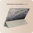 iPad Smart Folio 用 12.9インチ iPad Pro（第4世代、第5世代、第6世代）対応 apple アップル アイパッド　全面スキンシール フル 前面　背面 保護シール 人気 018323 森 写真