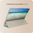 iPad Smart Folio 用 12.9インチ iPad Pro(第4世代、第5世代、第6世代)対応 apple アップル アイパッド 全面スキンシール ...