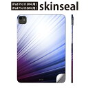 iPadPro 11(M4) iPadPro 13(M4) 2024年発売 第5世代 用 スキンシール 11インチ 13インチ ipad pro 対応 ノートパ...