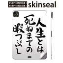 iPadPro 11(M4) iPadPro 13(M4) 2024年発売 第5世代 用 スキンシール 11インチ 13インチ ipad pro 対応 ノートパ...