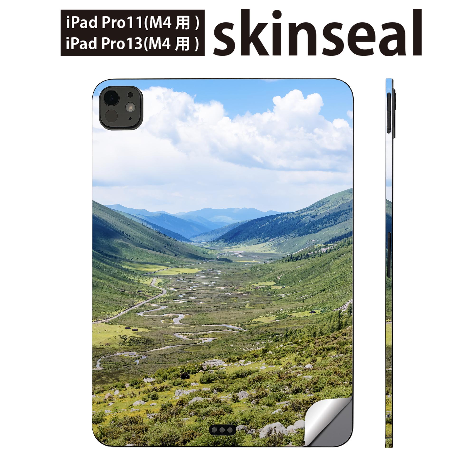 iPadPro 11(M4) iPadPro 13(M4) 2024年発売 第5世代 用 スキンシール 11インチ 13インチ ipad pro 対応 ノートパソコン カバー ケース フィルム ステッカー アクセサリー 保護 風景　景色　写真　009763