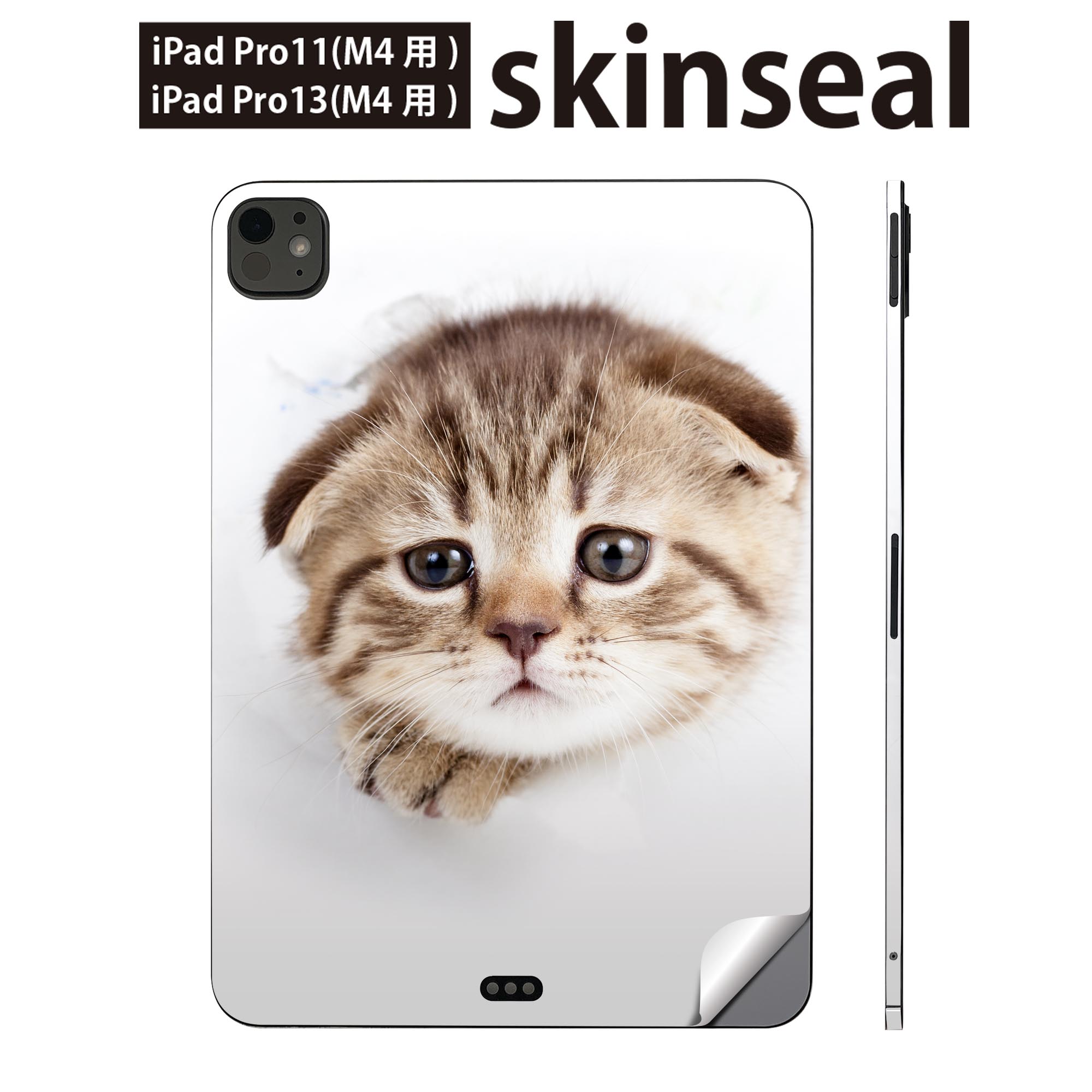 iPadPro 11(M4) iPadPro 13(M4) 2024年発売 第5世代 用 スキンシール 11インチ 13インチ ipad pro 対応..
