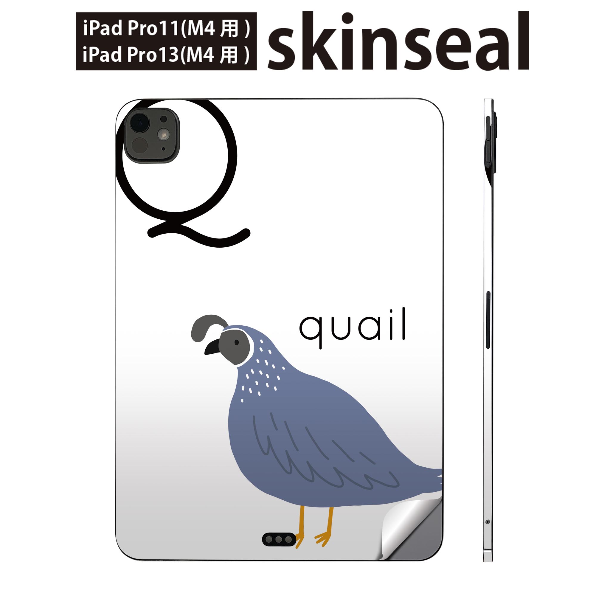 iPadPro 11(M4) iPadPro 13(M4) 2024年発売 第5世代 用 スキンシール 11インチ 13インチ ipad pro 対応..