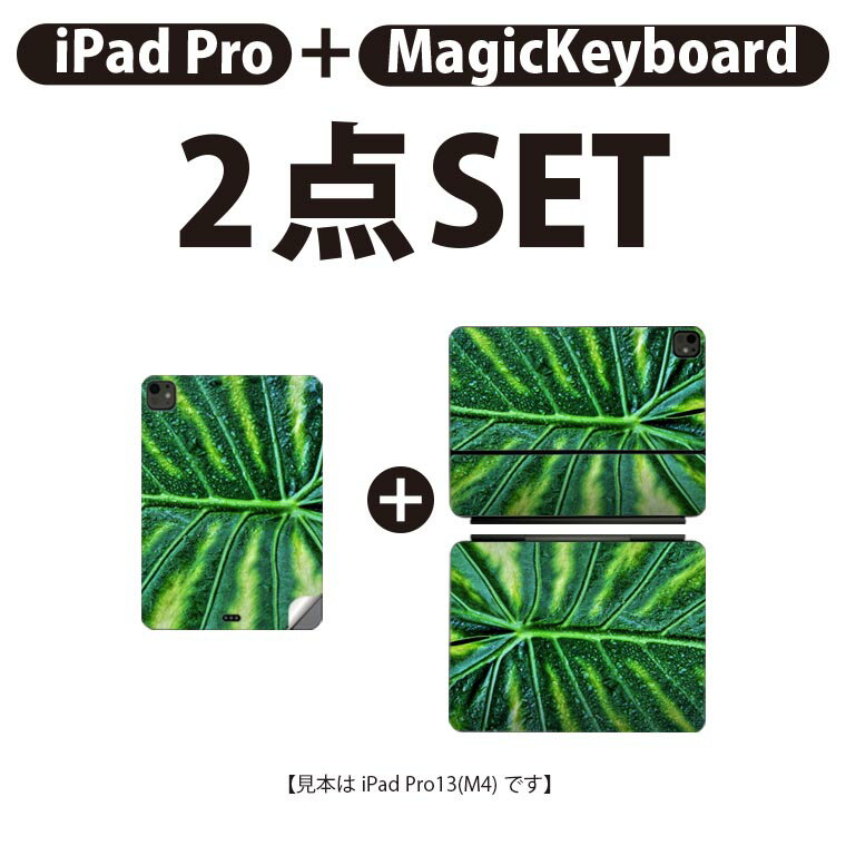 iPad Pro11(M4)用 iPad Pro13(M4)用 スキンシール 11インチ 13インチ Magic Keyboard keytop 2024年発売 第5世代 対応 各種セット 組み合わせ自由 全面 フル 前面 背面 保護シール 人気 モンステラ 葉っぱ 023931