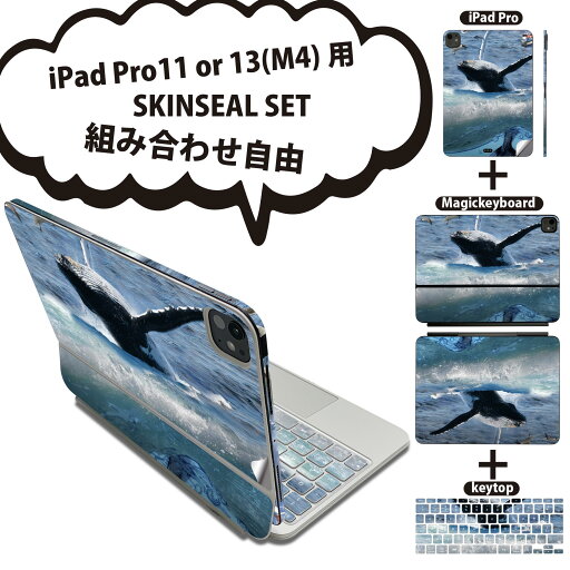 iPad Pro11(M4)用 iPad Pro13(M4)用 スキンシール 11インチ 13インチ Magic Keyboard keytop 2024年発売 第5世代 対応 各種セット 組み合わせ自由 全面 フル 前面 背面 保護シール 人気 海 鯨 写真 004897 iPad Pro11(M4)用 iPad Pro13(M4)用 スキンシール 11インチ 13インチ Magic Keyboard keytop 2024年発売 第5世代 対応 各種セット 組み合わせ自由 全面 フル 前面 背面 保護シール 人気 海 鯨 写真 004897