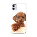 iPhone11 pro 5.8 インチ 専用 ソフトケース docomo ドコモ ソフトケース スマホカバー スマホケース ケース カバー tpu 002769 アニマル 犬　動物　写真
