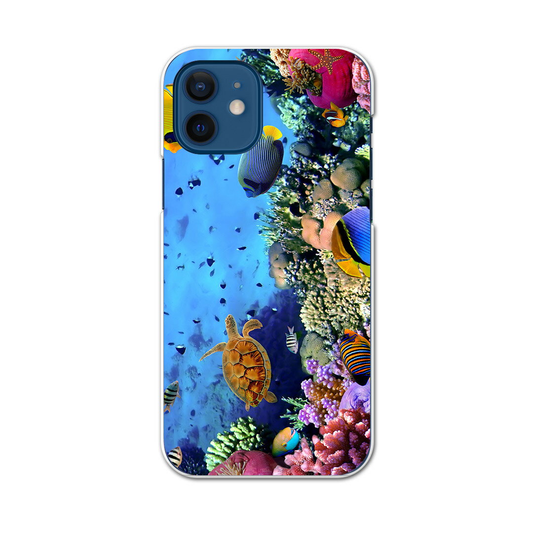 iPhone12 mini 5.4インチ 専用ハードケース アイフォン12 mini 用カバー igcase 各キャリア対応 スマホカバー カバー ケース pc ハードケース 002823 写真・風景 海　写真　カラフル