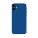 iPhone12 Pro Max 6.7インチ 専用ケース ハードケース アイフォン12 pro max 用カバー igcase 各キャリア対応 スマホカバー カバー ケース pc ハードケース 008980 その他 シンプル 無地 青(2)