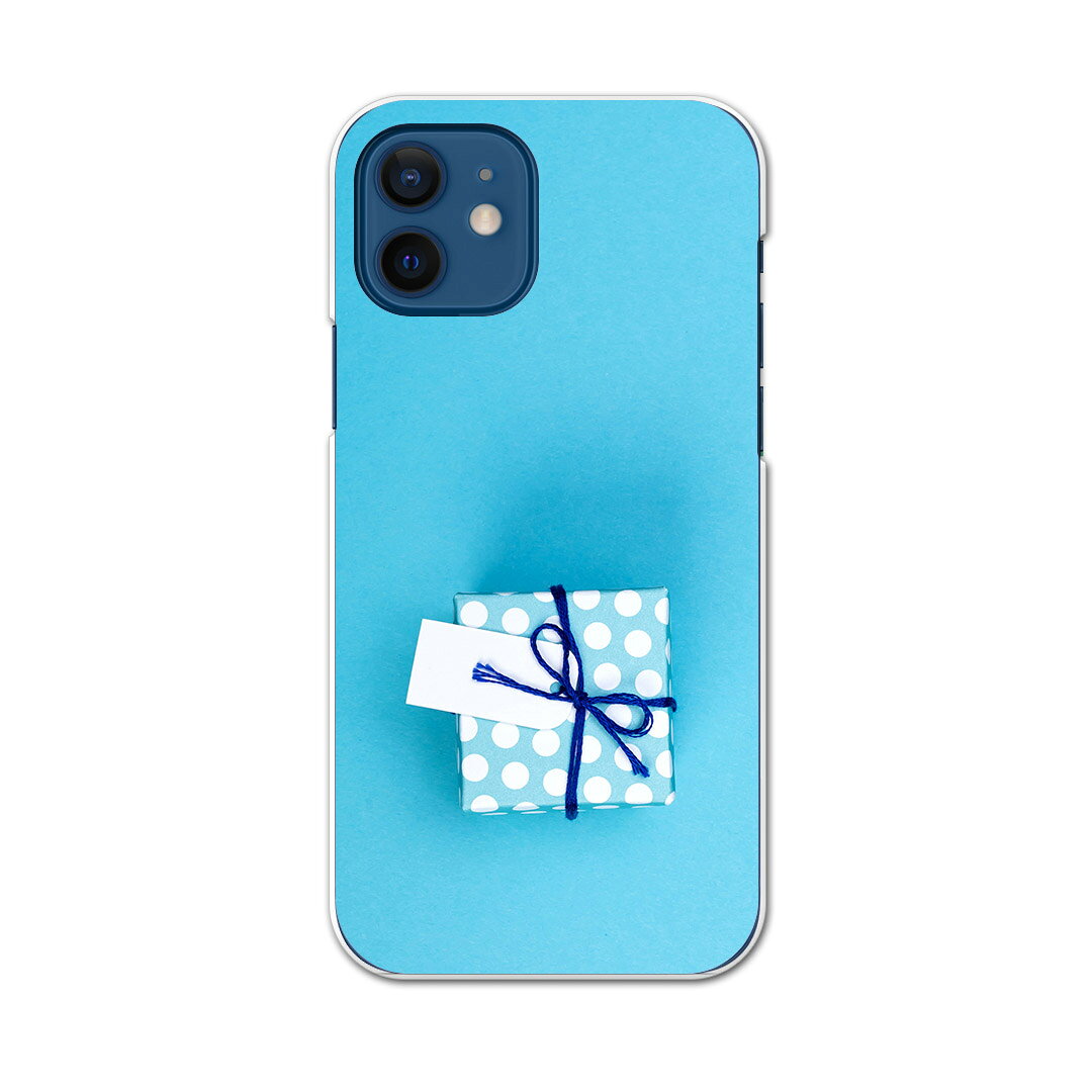 iPhone12 Pro Max 6.7インチ 専用ケース ハードケース アイフォン12 pro max 用カバー igcase 各キャリア対応 スマホカバー カバー ケース pc ハードケース 015507 プレゼント　青　ブルー