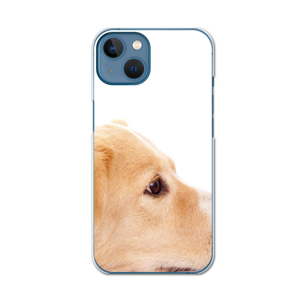 igcase iPhone13 Apple 6.1インチ 専用 各キャリア iPhone 13 共通対応 ハードケース スマホカバー カバー ケース pc ハードケース 006630 写真・風景 写真　犬　動物
