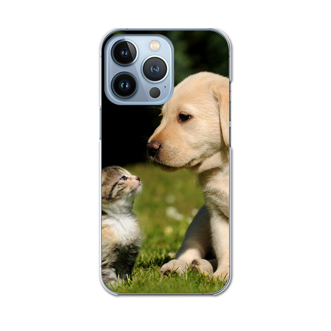 iPhone13 pro 6.1インチ 専用 プロ ハードケース iPhone13pro docomo ドコモ igcase 各キャリア対応 スマホカバー カバー ケース pc ハードケース 002794 アニマル 犬 猫 動物 写真