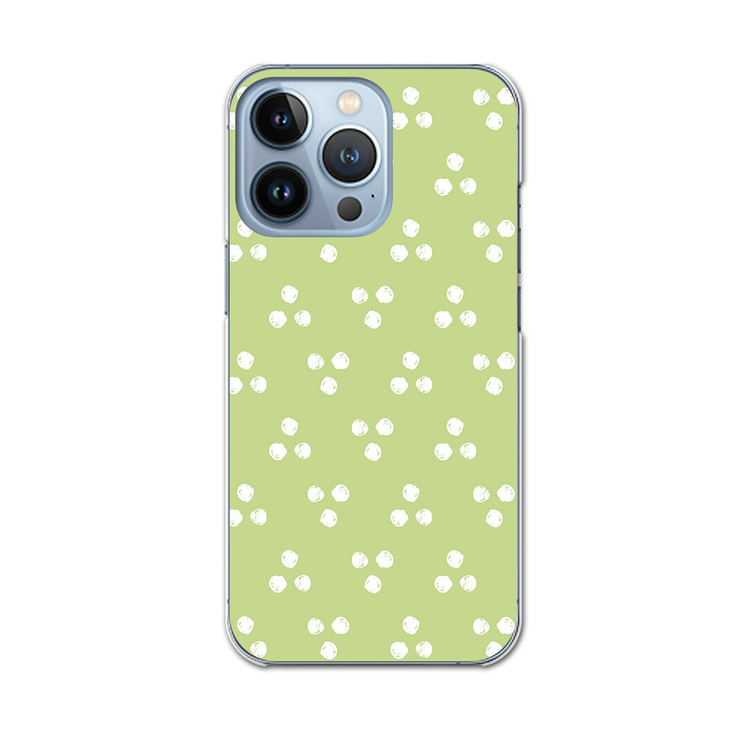 iPhone13 pro 6.1インチ 専用 プロ ハードケース iPhone13pro docomo ドコモ igcase 各キャリア対応 スマホカバー カバー ケース pc ハードケース 050297