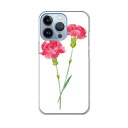 iPhone13 pro 6.1インチ 専用 プロ ハードケース iPhone13pro docomo ドコモ igcase 各キャリア対応 スマホカバー カバ...