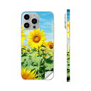 iPhone14 iPhone15 用 スキンシール 全面スキンシール フル 背面 側面 ステッカー 保護シール iphone14plus iphone14pro iphone14promax iphone15plus iphone15pro iphone15promax 各種対応 花 ひまわり 写真 002501