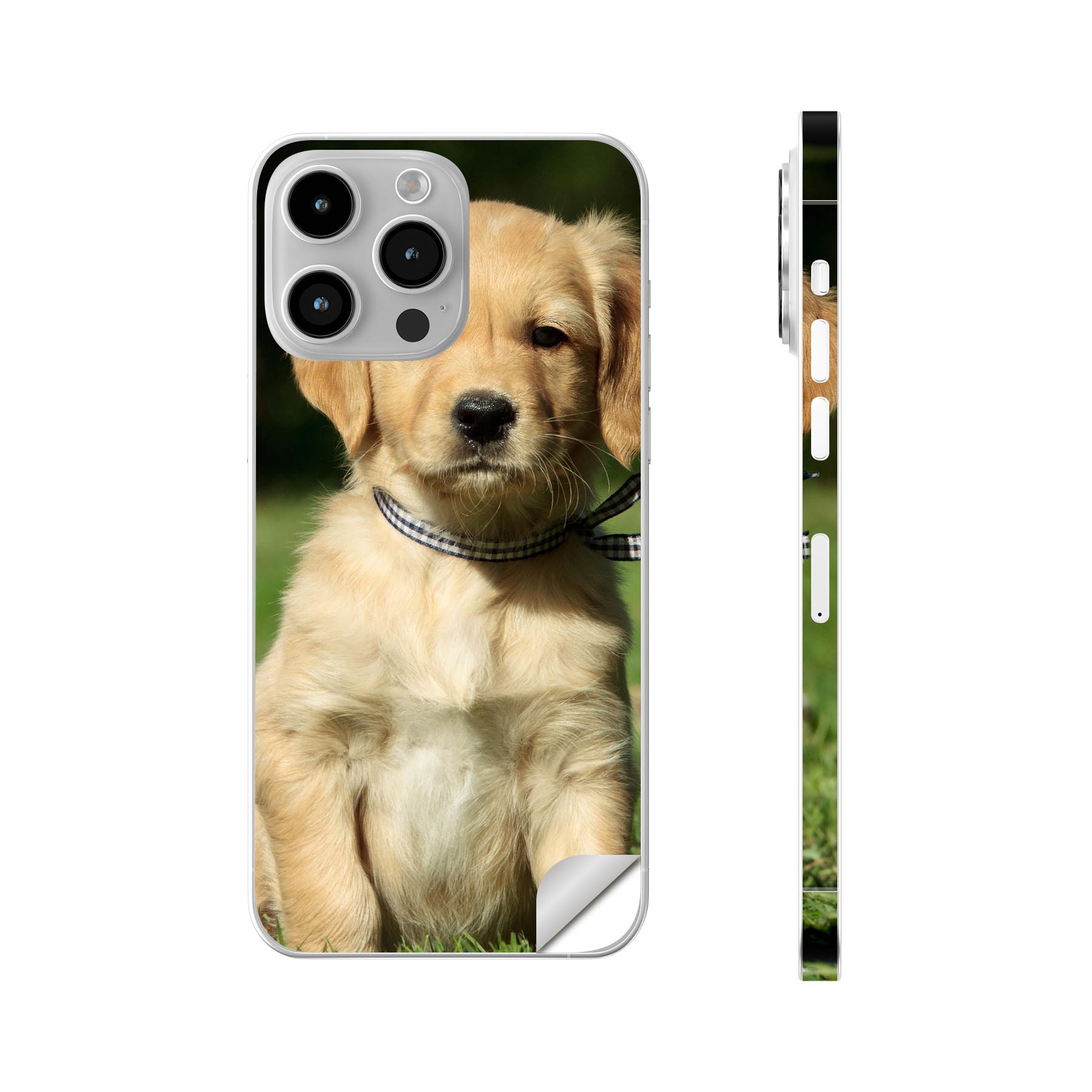 iPhone14 iPhone15 用 スキンシール 全面スキンシール フル 背面 側面 ステッカー 保護シール iphone14plus iphone14pro iphone14promax iphone15plus iphone15pro iphone15promax 各種対応 犬 動物 写真 002580