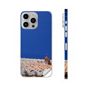 iPhone14 iPhone15 用 スキンシール 全面スキンシール フル 背面 側面 ステッカー 保護シール iphone14plus iphone14pro iphone14promax iphone15plus iphone15pro iphone15promax 各種対応 沖縄 シーサー 写真 002774
