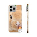iPhone14 iPhone15 用 スキンシール 全面スキンシール フル 背面 側面 ステッカー 保護シール iphone14plus iphone14pro iphone14promax iphone15plus iphone15pro iphone15promax 各種対応 うさぎ 動物 写真 002807