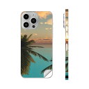 iPhone14 iPhone15 用 スキンシール 全面スキンシール フル 背面 側面 ステッカー 保護シール iphone14plus iphone14pro iphone14promax iphone15plus iphone15pro iphone15promax 各種対応 海 ヤシの木 空 景色 022958