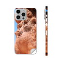 iPhone14 iPhone15 用 スキンシール 全面スキンシール フル 背面 側面 ステッカー 保護シール iphone14plus iphone14pro iphone14promax iphone15plus iphone15pro iphone15promax 各種対応 シーサー 沖縄 写真 004542