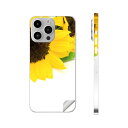 iPhone14 iPhone15 用 スキンシール 全面スキンシール フル 背面 側面 ステッカー 保護シール iphone14plus iphone14pro iphone14promax iphone15plus iphone15pro iphone15promax 各種対応 ひまわり 写真 シンプル 005164